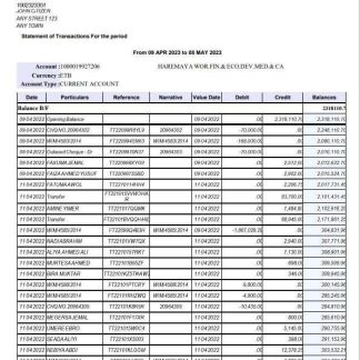 Ethiopia Commercial Bank of Ethopia bank statement template, Word and PDF format, 4 pages download template file