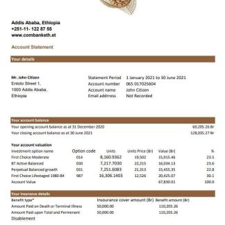 Ethiopia Commercial Bank statement easy to fill template in Excel and PDF format download template file