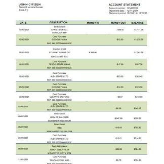 Fiji Bank of South Pacific bank statement template, Word and PDF format download template file