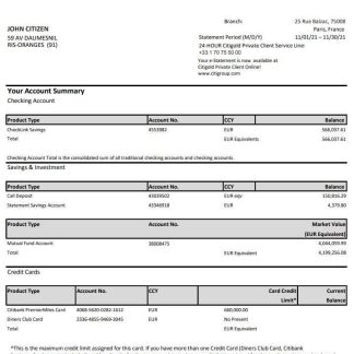 France Citibank bank statement template in .xls and .pdf file format download template file