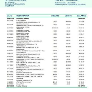 Argentina Banco Patagonia bank statement download template file