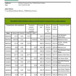 France Credite Agricole Bank statement xls download template file