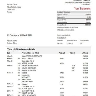 France HSBC bank statement template in Excel and PDF format download template file