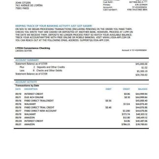 France Lydia Noir bank statement template, Word and PDF format download template file