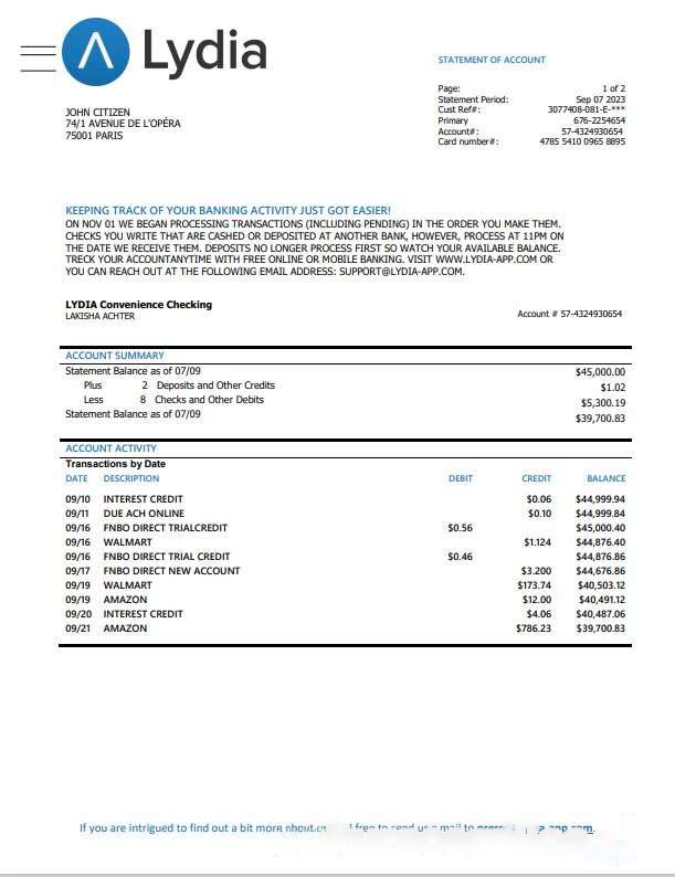 France Lydia Noir bank statement template, Word and PDF format download template file