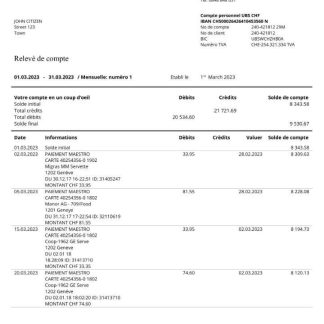 France UBS bank statement Word and PDF template download template file