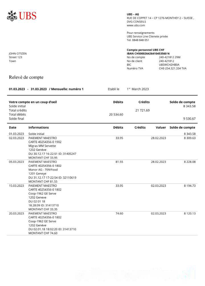 France UBS bank statement Word and PDF template download template file