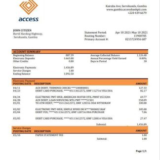 Gambia Access bank statement template, Word and PDF format download template file