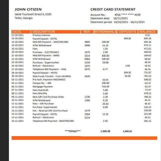 Georgia Bank of Georgia Bank statement template, Word and PDF format download template file