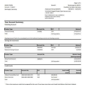 Germany Citibank bank account statement template in Excel and PDF format download template file