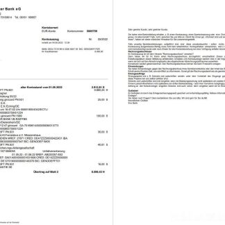 Germany Freisinger Bank eG statement 2 pages download template file