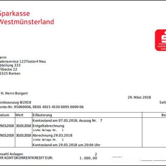 Germany Sparkasse bank statement download template file