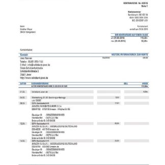 Germany Sparkasse Miltenberg Obernburg bank statement template, Word and PDF format download template file