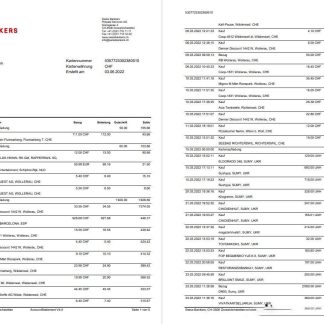 Germany Swiss Bank statement 5 pages download template file