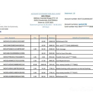 Guatemala Banco de Guatemala bank statement easy to fill template in Excel and PDF format download template file