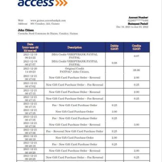 Guinea Access bank statement template, Word and PDF format download template file