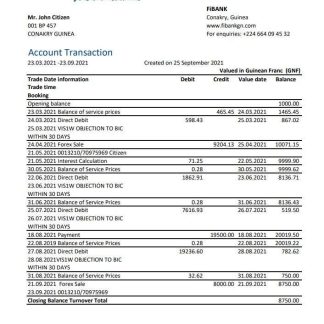 Guinea Fibank bank statement template in .xls and .pdf file format download template file