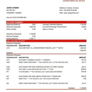 Guinea UBA Bank statement template in Excel and PDF format download template file