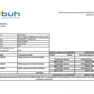 Haiti BUH bank statement xls download template file
