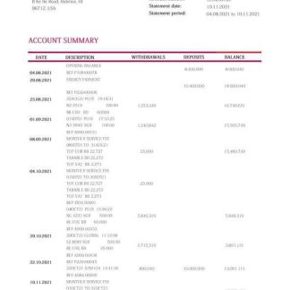 Hawaii Hawaii National Bank statement Word and PDF template download template file