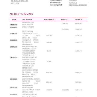 Hawaii National Bank statement template, Word and PDF format download template file
