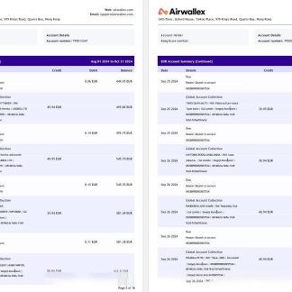Hong Kong Airwallex Limited account statement, 18 pages 3 download template file