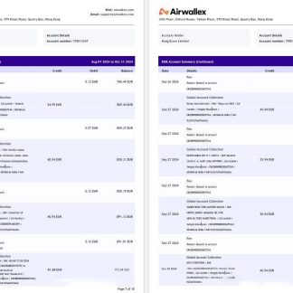Hong Kong Airwallex Limited account statement, 18 pages 4 download template file