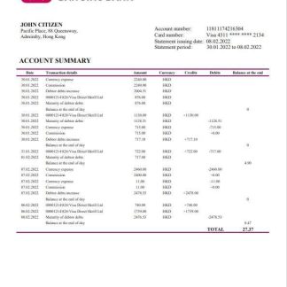 Hong Kong DAH Sing Bank statement template, Word and PDF format download template file