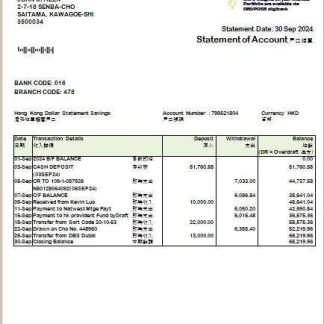 Hong Kong DBS bank consolidated statement Word and PDF template scr download template file