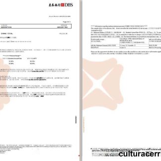 Hong Kong DBS Black World MasterCard eStatement 3 4 download template file