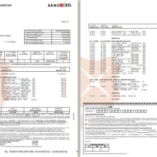 Hong Kong DBS Black World MasterCard eStatement Word 1 2 download template file