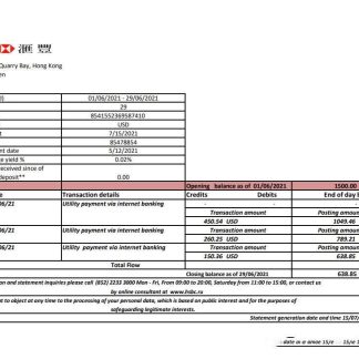 Hong Kong HSBC bank statement easy to fill template in .xls and .pdf file format download template file
