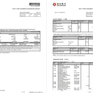 Hongkong Hang Seng bank statement 2 pages download template file