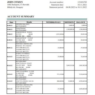 Hungary OTP bank statement xls download template file