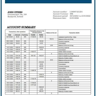Iceland MP bank statement download template file