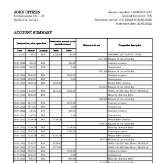 Iceland MP bank statement xls download template file