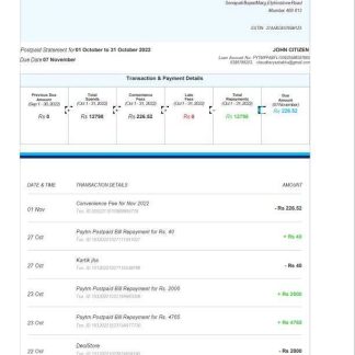 India Aditya Birla Finance Ltd bank statement template, Word and PDF format, 3 pages download template file