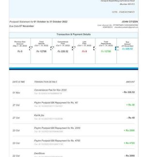 India Aditya Birla Finance Ltd fake bank statement Word and PDF template, 3 pages download template file