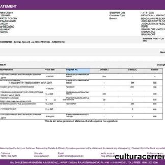 India AU Small Finance bank account statement Word and PDF template, version 2 download template file