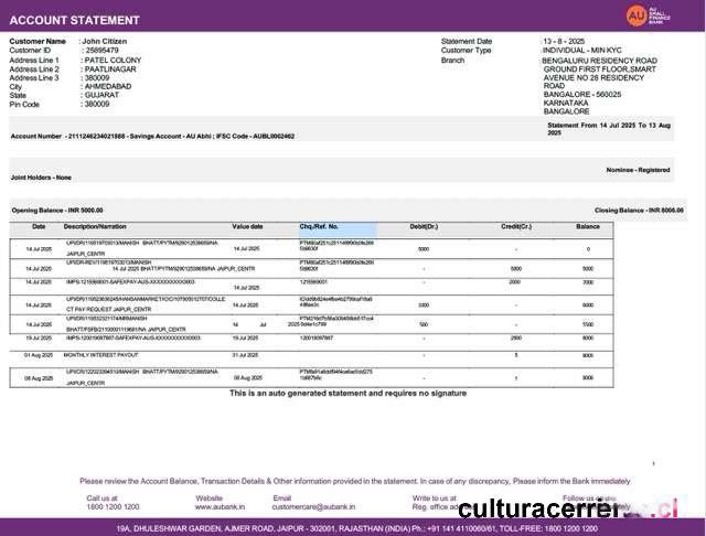 India AU Small Finance bank account statement Word and PDF template, version 2 download template file