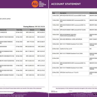 India AU Small Finance bank statement 5 pages download template file
