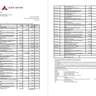 India Axis 2 pages excel pdf download template file