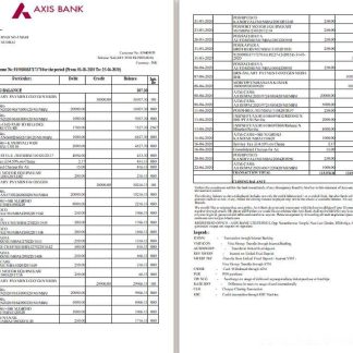 India Axis bank statement template, Word and PDF format, 2 pages, version 2 download template file