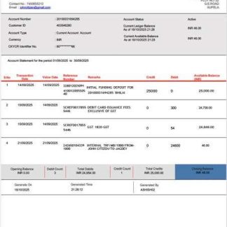 India Bandhan Bank account statement Word and PDF template download template file
