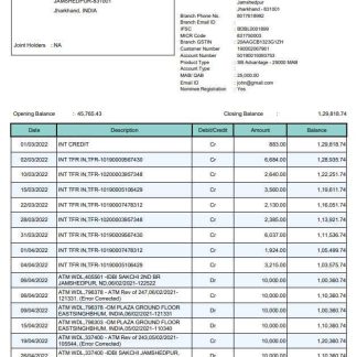 India Bandhan bank statement download template file