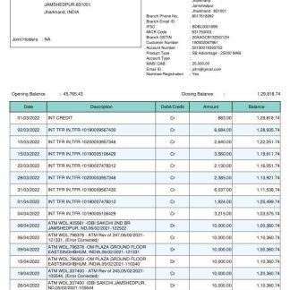 India Bandhan bank statement template, Word and PDF format, 2 pages download template file