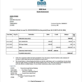 India BBB Bank statement Word and PDF template download template file