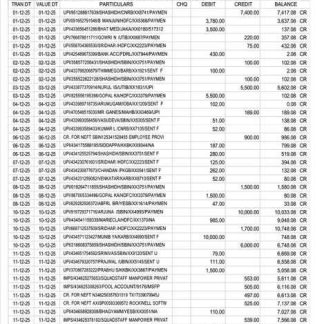 India Bharat Co operative Bank account statement Word and PDF template download template file