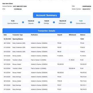 INDIA BHARATPE bank statement template, Word and PDF format download template file