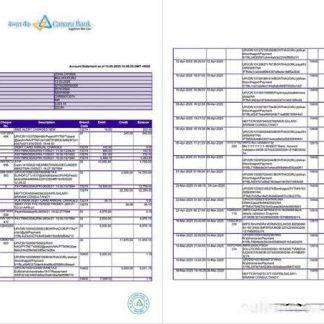 India Canara Bank account statement Word and PDF template, 2 pages download template file